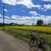 気持ちよく自転車に乗りました・・・