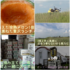 ヤッパリ・・イイなぁ　美瑛の駅＆パッチワークの丘　^^!