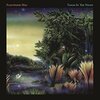 Little Lies　Fleetwood Mac