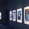 TOP MUSEUMで写真作品、展示中。