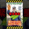 家庭菜園や農園のスナップエンドウ栽培が緊急事態！伸びすぎたツルの先端を守る防風対策とスナップエンドウの育て方！【農家直伝】#shorts