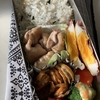 チキンステーキ(塩コショウ)弁当