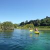 Kiwi Travel⑦Waikato Riverでカヤック