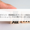 dポイント（期間限定ポイント）はiDキャッシュバックと日興フロッギーのどちらがおトク？