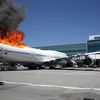 【JAL機炎上事故】動物搭乗の懸念と広報コメント！「2件のお預かりがありました」