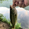 【釣り】夏休みは長野県でバス釣り❣️