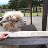 食べるもので精液の味は変わる