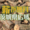 茨城県民必見　伐採樹木の無償提供が各地で行われます