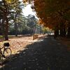 初冬サイクリング　芸術の森　他