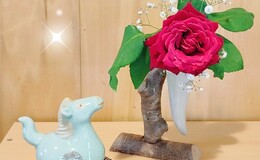 記事を見る