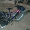 リアキャリアに加工した前カゴを左右に取り付けて、ダンベルのプレートを自転車で運んで公園で筋トレしてみる。