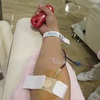 献血→イルミ→飲み。