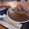 小田急相模原1000円で食べられるデカ盛りグルメ！！大衆酒場譲でカレーライス大盛りにから揚げ二個を注文したら想定以上の盛りだった！！