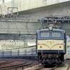 ＥＦ５８１１６