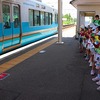 すみれのお楽しみ