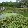2026年6月6日（土）　長居植物園〜特別展「鳥」〜映画「霧のごとく」