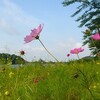 梅雨の晴れ間