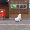 栗山町へ🐾