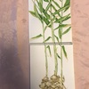 エミータS.195／ショウガのスケッチ