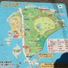 代々木公園に行ってきました。