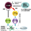 【ストーリー②⑤】【大学4年/5月】社長業を休んで、父のところへ通院するようになる