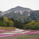 秩父人が伝える秩父のマル秘情報ブログ