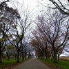 晩秋の木場潟公園Ⅰ