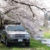 春の洗車と満開の桜の下でテラノレグラスの撮影会♪~ホイールのスポーク部分の汚れはケルヒャーOC３で一撃！~