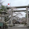 富山県護国神社の桜