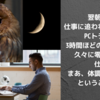 久々の夜更かし