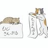 文字の紙を持った猫＆文字の枠に乗った猫