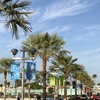✈️WDW 旅行記 2019 MAY 【３】HOLLYWOOD STUDIO