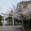 ＜写真＞阿久比町紹介シリーズ！津嶋神社の前の桜