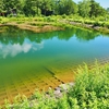 大沼湖（長野県駒ヶ根）