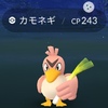 PokeGo カモネギ色違い