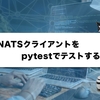 NATS クライアントを pytest でテストする