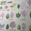 秋を満喫しながら、理科の知識も身につくZ会の経験学習とは？（2019年11月号の経験学習の内容について）