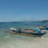 フィリピンでの最初の週末。セブから移動してオスロブの海でジンベイザメと記念撮影。【2016年4,5月フィリピン・セブ島留学＆リゾート記その7】