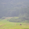 雨のち曇りのち晴れ