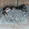 住宅ローン、今、どんな流れ？