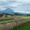 実りの田方平野