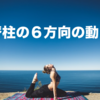 23 ハムストリングのトレーニングを股関節伸展で考えるか膝関節屈曲で考えるか Sports Training Room