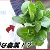 蟻戦争 帰ってきたありじゃむは「不思議な農業」で大金を稼ごうとしている。編～mysterious agriculture～