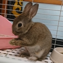ななログ