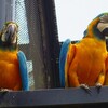 自転車で福山市立動物園に行ってきた！（福山市芦田町）