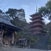 【高知】五台山からの眺めと竹林寺&NHK朝ドラ牧野富太郎/お土産編