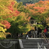 初！永観堂へ