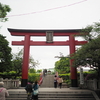 旬を逃した亀戸天神社の風景。