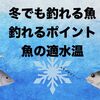 【魚の適水温】寒い冬でも釣れる魚、釣れる場所