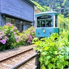 6月の鎌倉あじさい散策モデルコース｜極楽寺・成就院・御霊神社・江ノ電・江の島スパ・湘南ちがさき